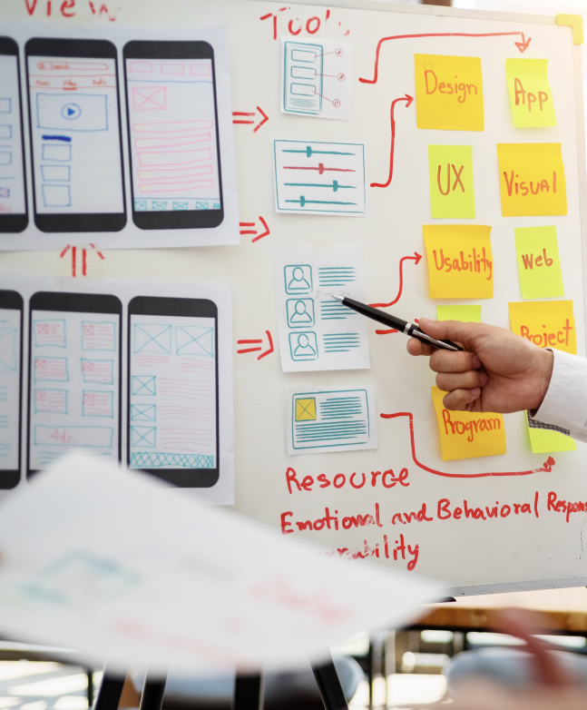 sketch sitio web Elephantic